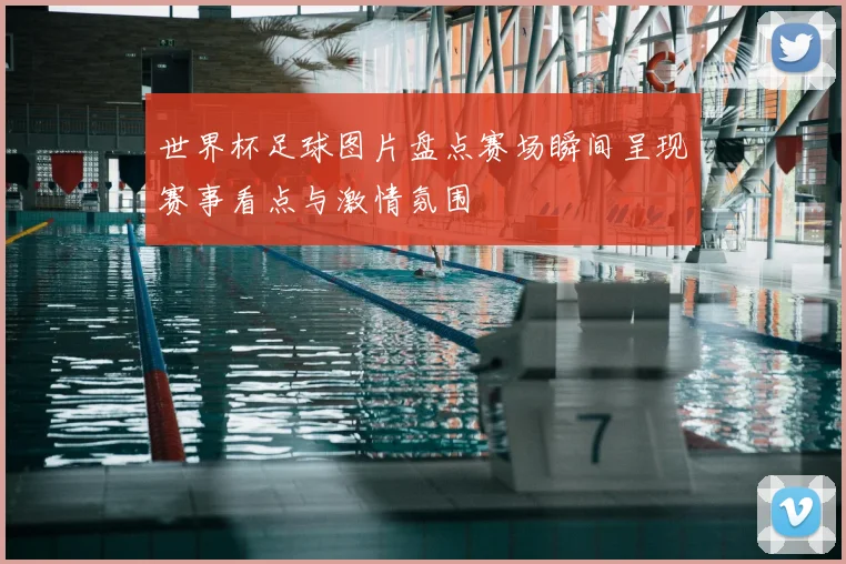 世界杯足球图片盘点赛场瞬间呈现赛事看点与激情氛围