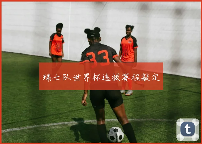 瑞士队世界杯选拔赛程敲定