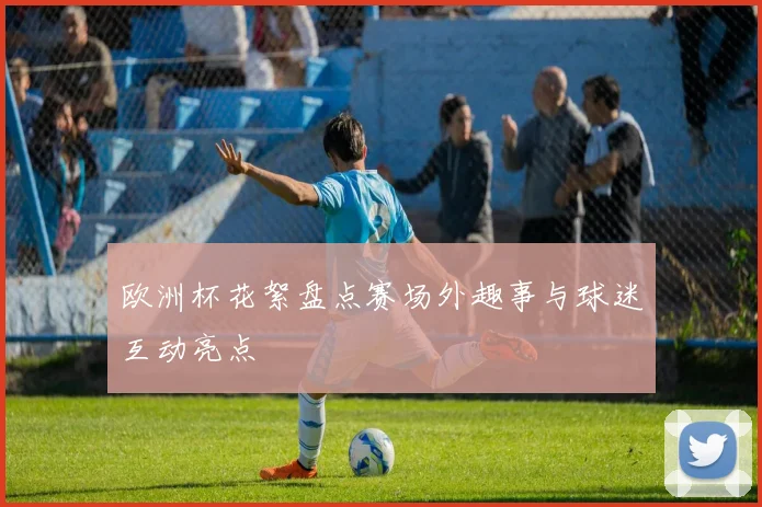 欧洲杯花絮盘点赛场外趣事与球迷互动亮点
