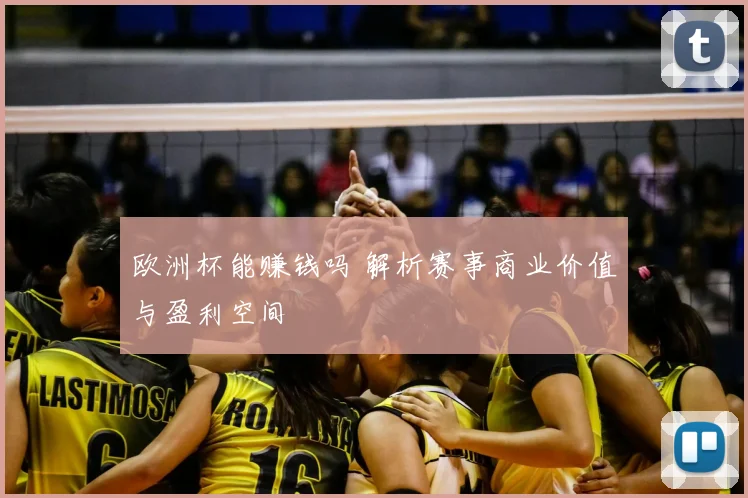 欧洲杯能赚钱吗 解析赛事商业价值与盈利空间